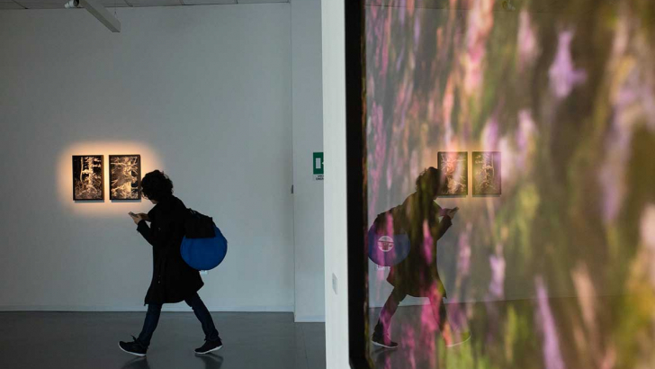 mostra