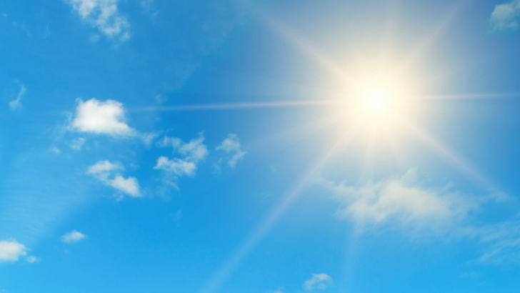 sole sole