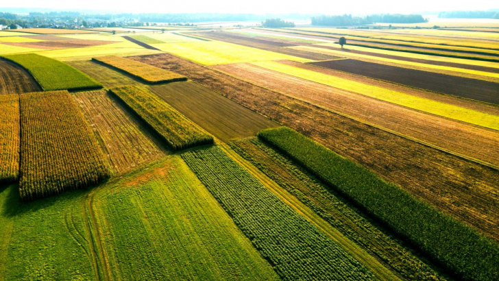 agricoltura