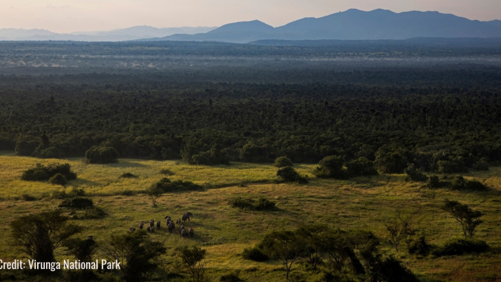 Parco nazionale dei Virunga