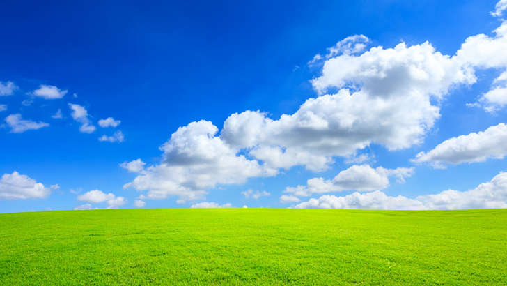 cielo e erba