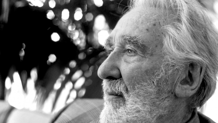 mario rigoni stern