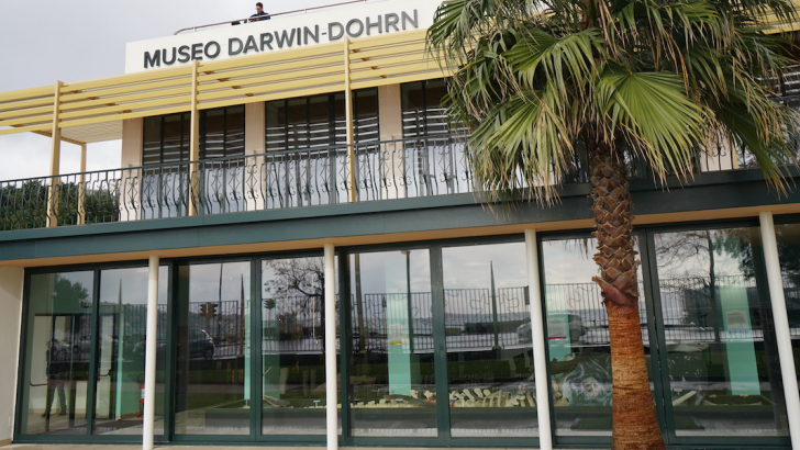 Museo DaDoM Museo DaDoM