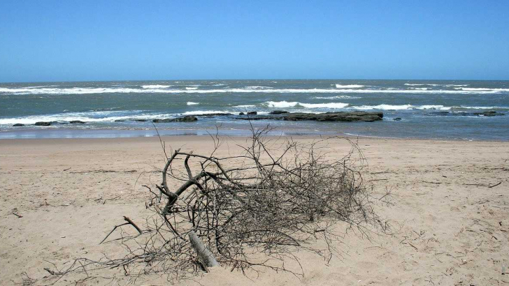 spiaggia