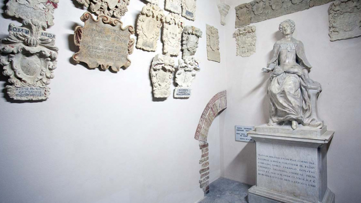 piscopia