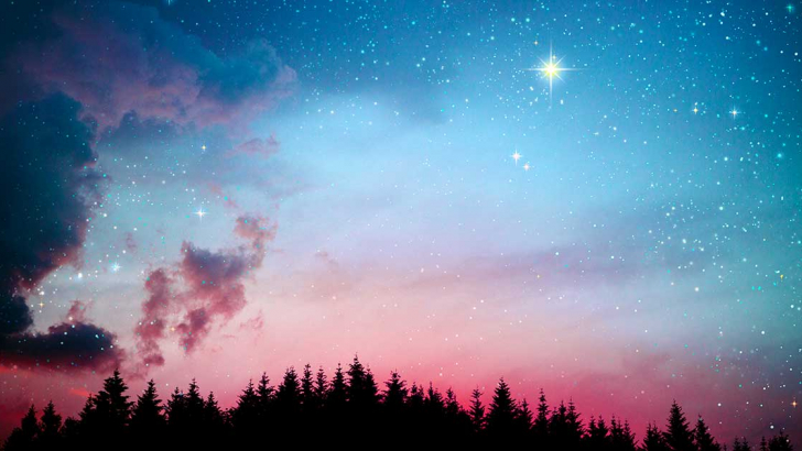 stelle