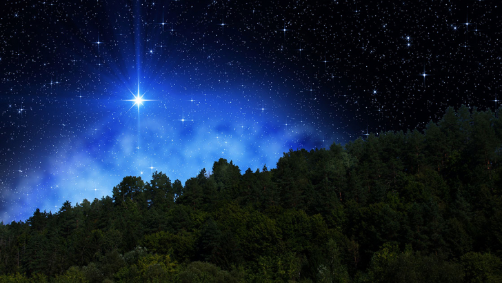 stelle bosco
