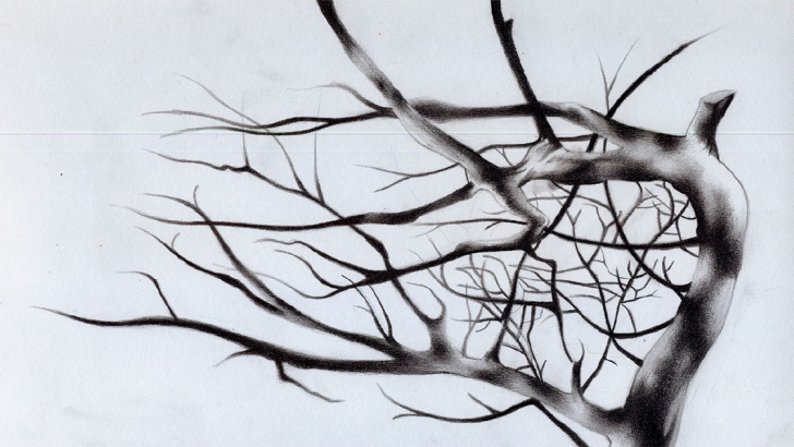 albero