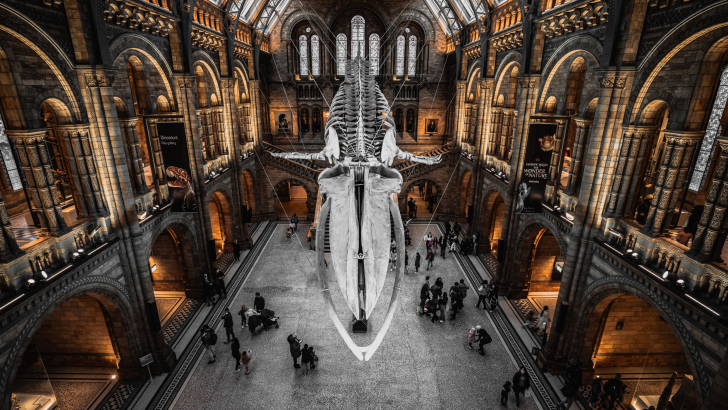 museo