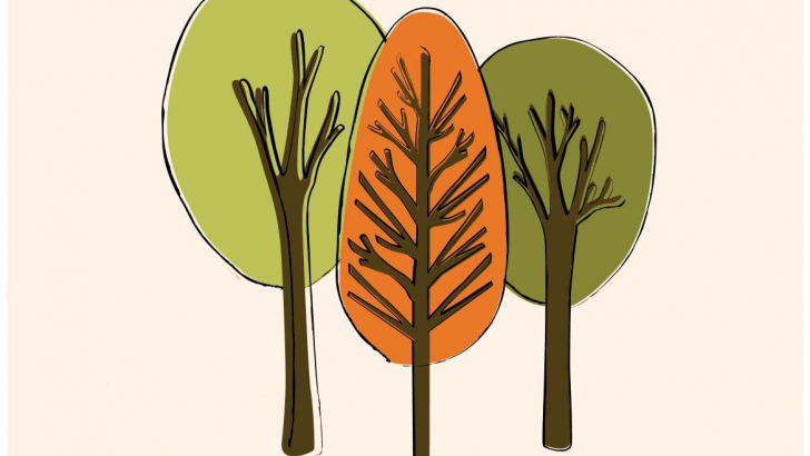 alberi