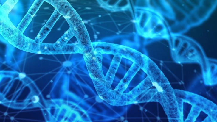 dna catena