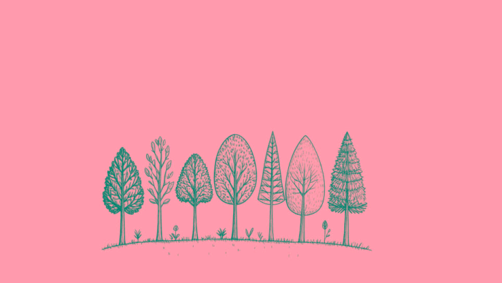 alberi