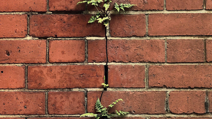 muro