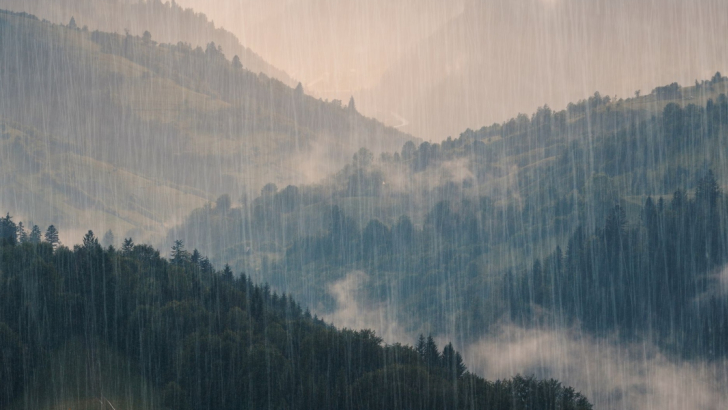 Alpi temporali