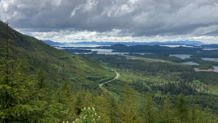 Alaska, Foresta Nazionale di Tongass