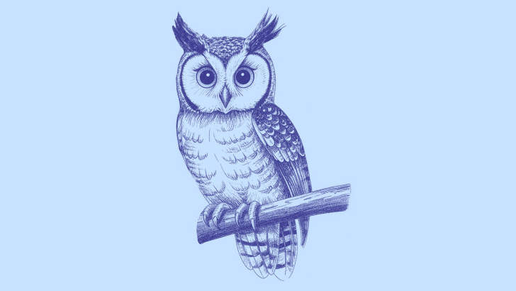 allocco
