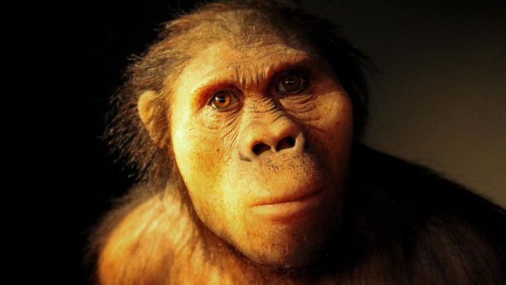 Australopithecus