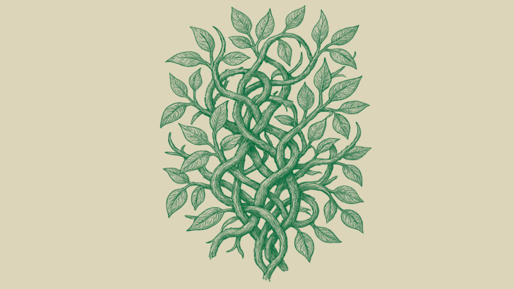 groviglio verde