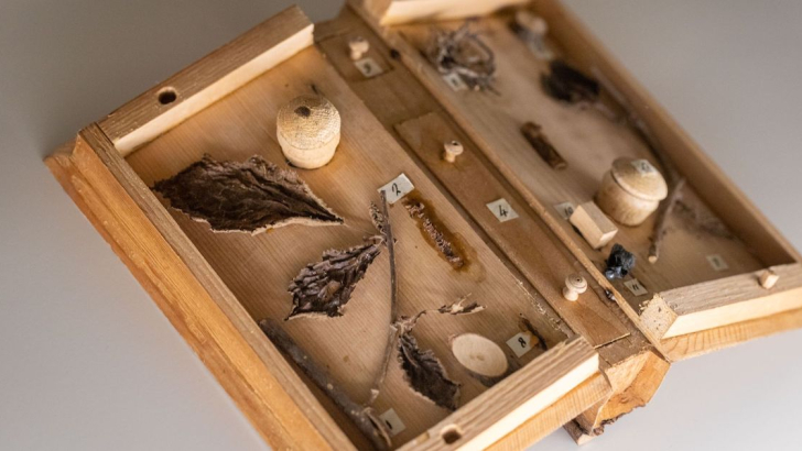 foto contenuto libro di legno