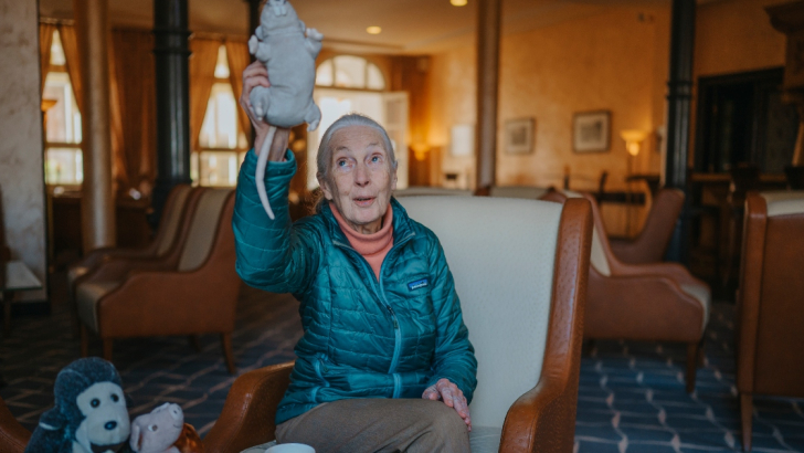 Jane Goodall