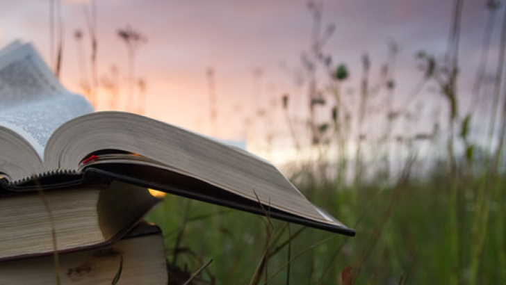 libro aperto su prato verde al tramonto