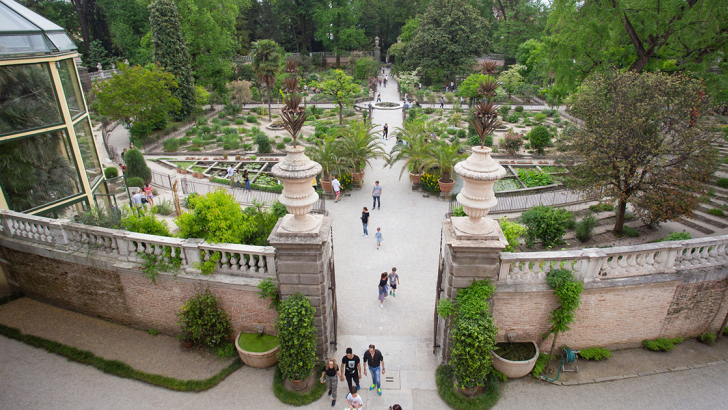 foto dell'orto botanico di pd