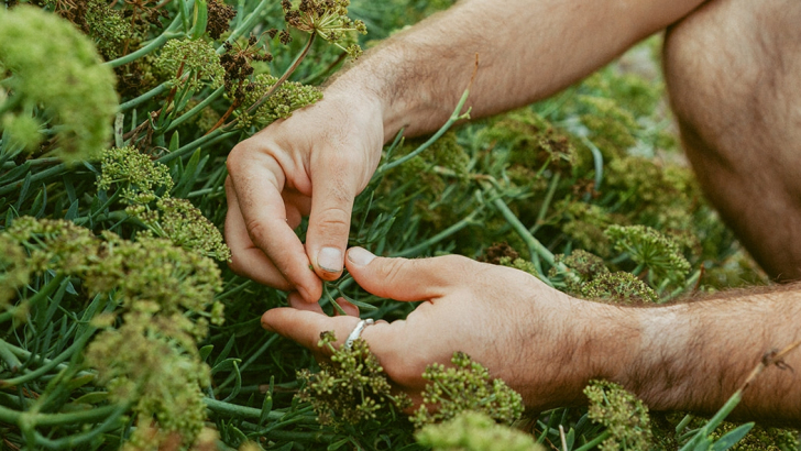 Foto: Chris Eyre-Walker