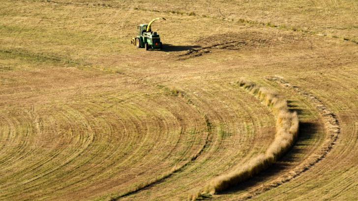 	campo-grano-trattore-mietitura