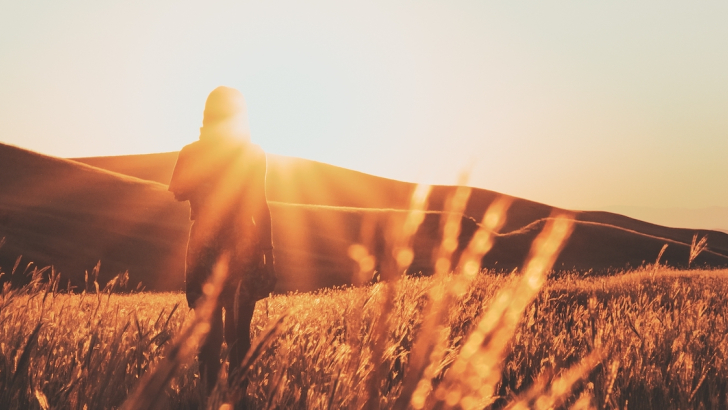 essere umano in campo al tramonto