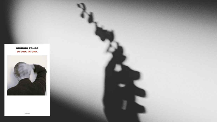 di ora in ora falco
