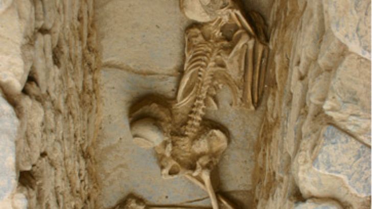 necropoli, archeologia, Udegram