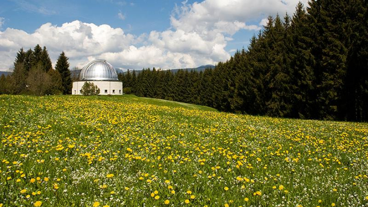 asiago
