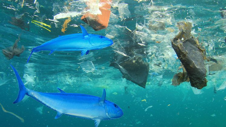 mare inquinato alla plastica