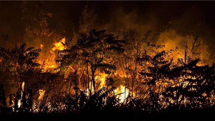 incendi_boschivi incendi_boschivi