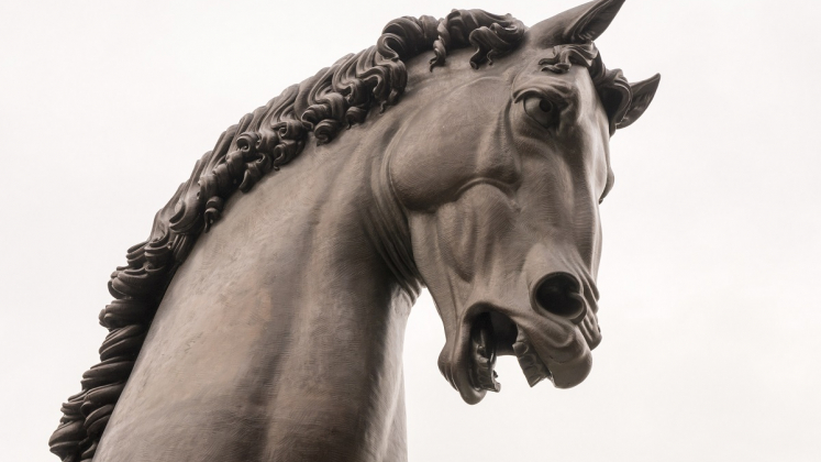 cavallo leonardo cavallo leonardo