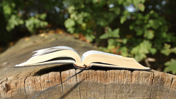 libro libro