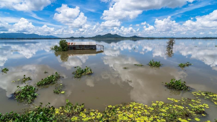 mekong
