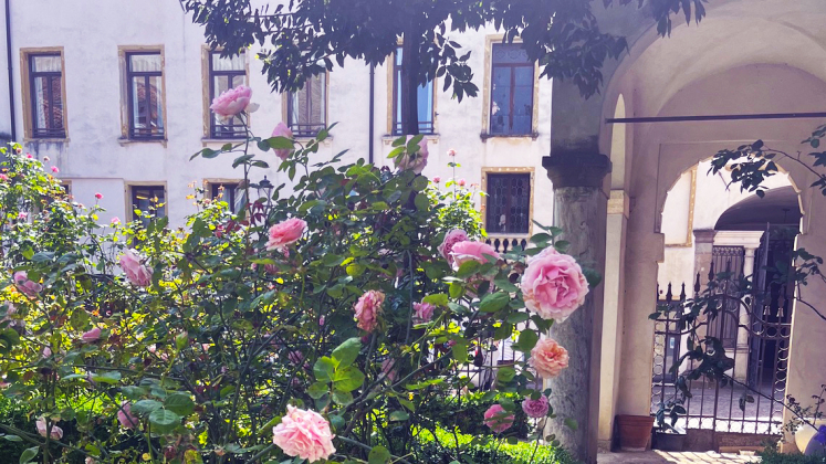 palazzo