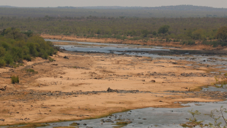 Siccità del fiume Olifants, Kruger National Park, Sud Africa